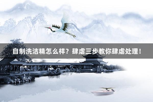 自制洗洁精怎么样？肆虐三步教你肆虐处理！